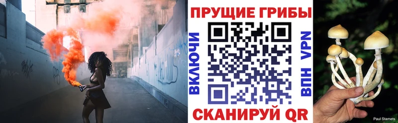 мега вход  купить закладку  даркнет телеграм  Псилоцибиновые грибы Psilocybine cubensis  Мантурово 